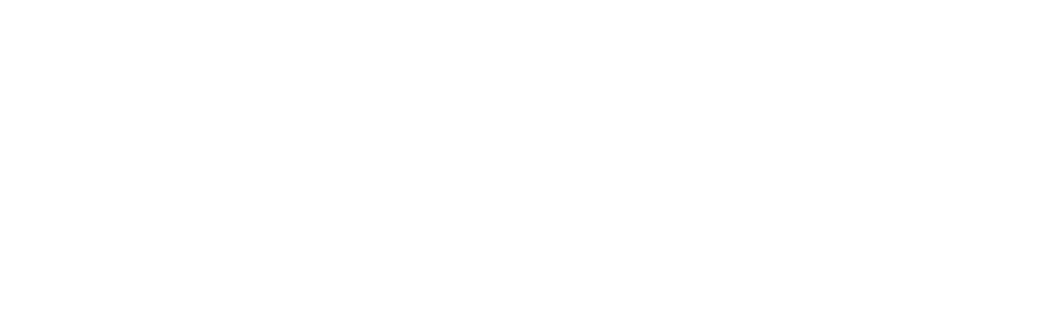 edin_-_logo_-_png-2_3_1